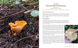 Wild Mushrooms by Kristen Blizzard